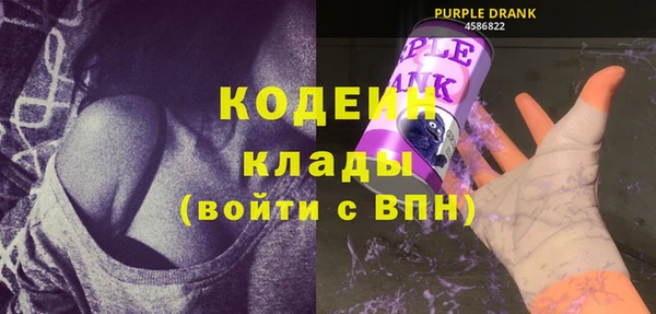 хмурый Алзамай