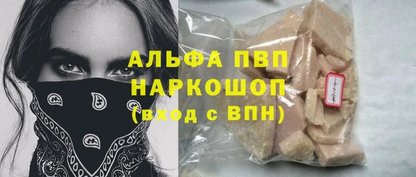 хмурый Алзамай