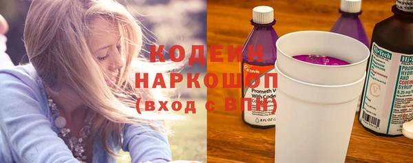 хмурый Алзамай
